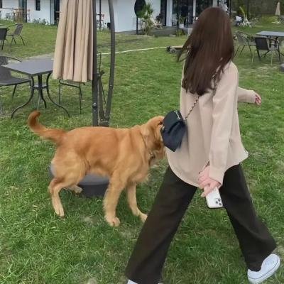 灼心之爱